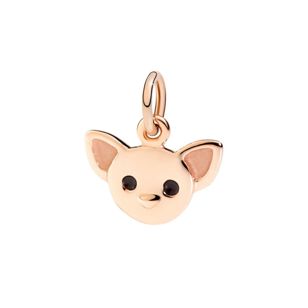 DoDo |  | CHIHUAHUA | 721.jpg